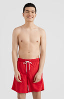 ONeill M VERT 16" SWIM SHORTS - PeakStyle