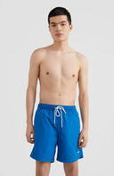 ONeill M VERT 16" SWIM SHORTS - PeakStyle