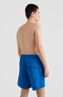 ONeill M VERT 16" SWIM SHORTS - PeakStyle