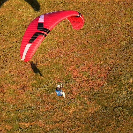 Ozone Geo 7 - Gleitschirm bei PeakStyle