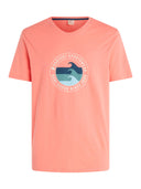 Protest M PRTSHARM T - SHIRT - PeakStyle