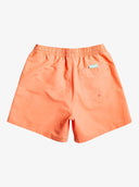 Quiksilver M BEACH PLEASE VOLLEY 16 - PeakStyle