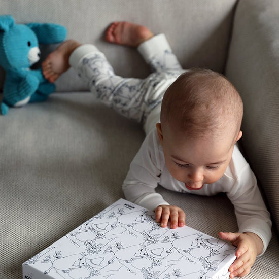 Reima Moomin Filur Baby-Geschenkset - Baby-Sets bei PeakStyle