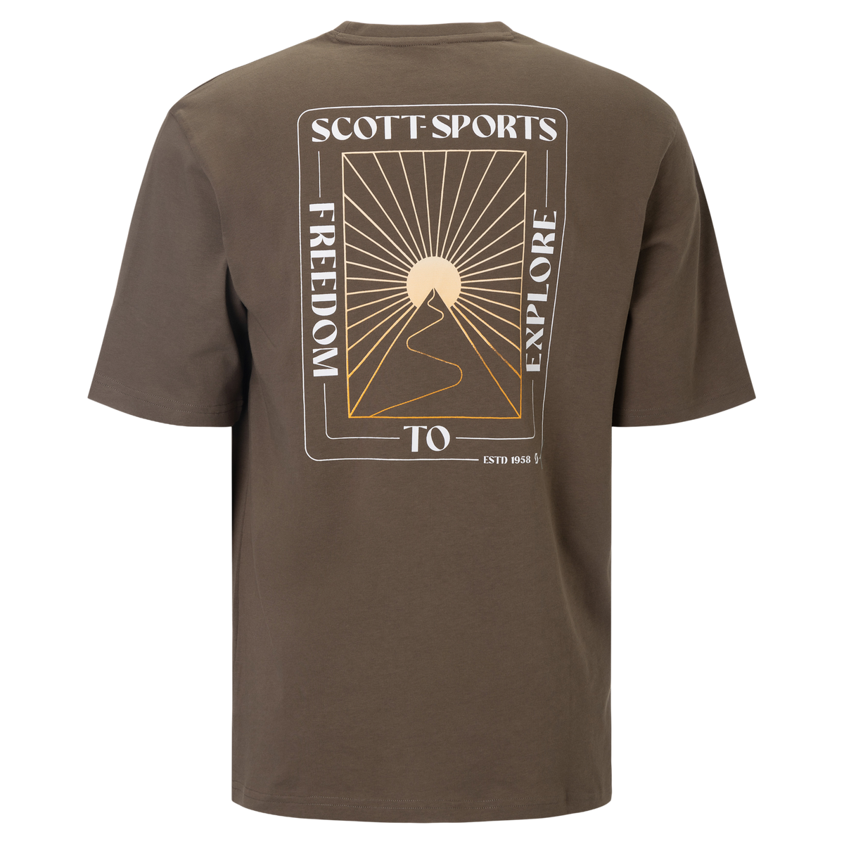SCOTT Graphic Kurzarmshirt Herren in Wood Grey – Rückansicht
