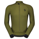 Fir Green - 1